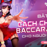 Bật mí những cách chơi baccarat đáng quan tâm cho người chơi bài baccarat