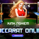 Chia sẻ đến anh em những kinh nghiệm quý báu khi chơi baccarat online