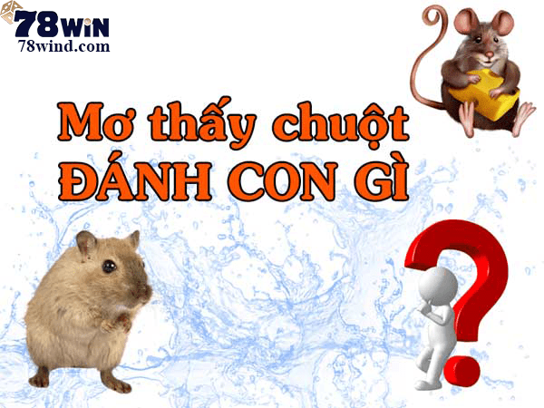 Nằm mơ thấy chuột nên đánh số con gì? Giải mã những giấc mơ về chuột