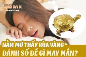 Mơ thấy rùa vàng có ý nghĩa gì? Nằm mơ thấy rùa đánh con gì?