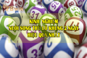 Hướng dẫn bắt song thủ lô nuôi khung 2 ngày chắc thắng