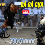 Chơi đá gà cựa sắt Campuchia ở đâu uy tín nhất?