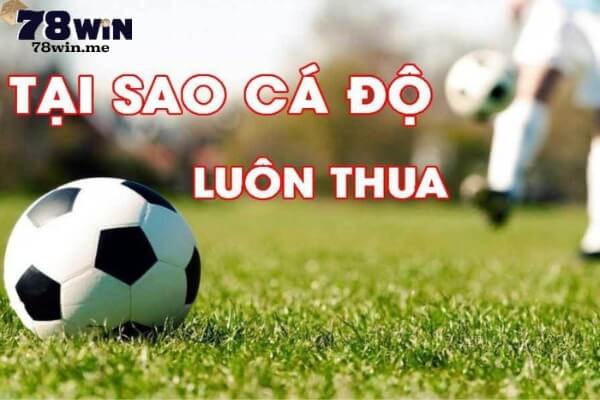 Nhiều anh em thường đặt ra câu hỏi tại sao cá độ bóng đá luôn thua