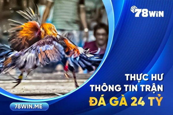 Thực hư thông tin trận đá gà 24 tỷ