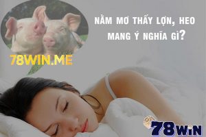 Ý nghĩa giấc mơ thấy heo: Mơ thấy heo đánh con gì?