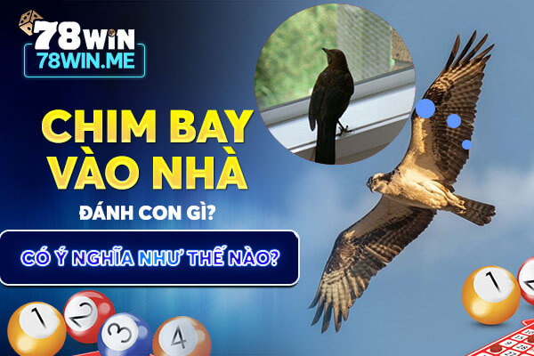 Chim bay vào nhà đánh con giò