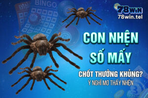 Con nhện số mấy chốt ngay thưởng khủng? Ý nghĩa mơ thấy nhện