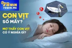 Con vịt số mấy, mơ thấy con vịt có ý nghĩa gì?