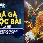 Đá gà Mộc Bài là gì? Chơi đá gà Mộc Bài như thế nào?