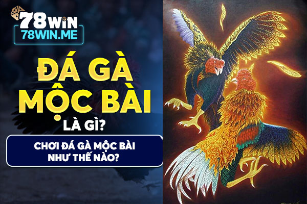 Đá gà Mộc Bài là gì? Chơi đá gà Mộc Bài như thế nào?