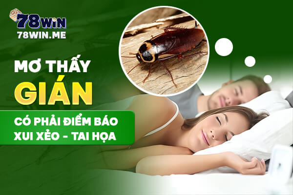 Mơ thấy gián có phải là điềm báo xui xẻo, tai họa