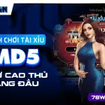 Cách chơi tài xỉu MD5 như cao thủ hàng đầu