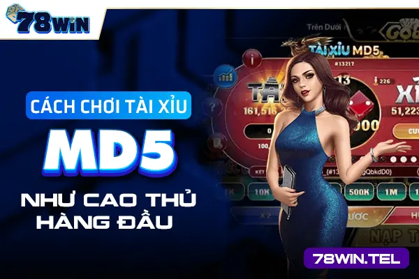 Cách chơi tài xỉu MD5 như cao thủ hàng đầu