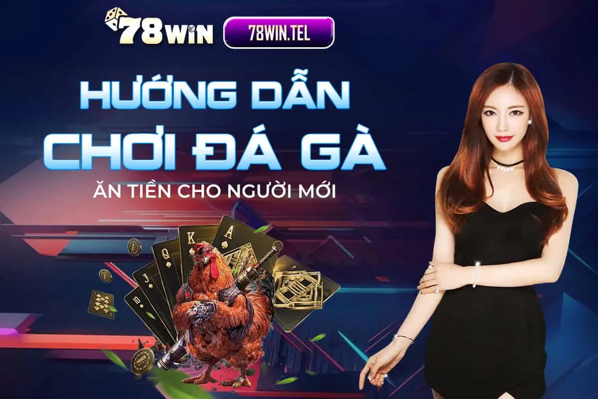 Hướng dẫn chơi đá gà ăn tiền cho người mới