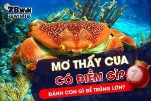 Mơ thấy cua có điềm gì, đánh con gì để trúng lớn?