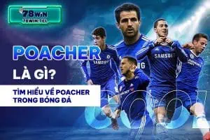 Poacher là gì? Tìm hiểu về poacher trong bóng đá