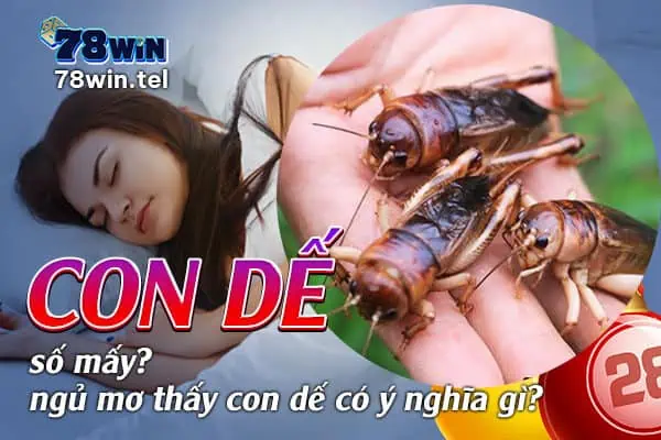 Con dế số mấy, ngủ mơ thấy con dế có ý nghĩa gì?