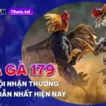 Đá gà 179 – Cơ hội nhận thưởng hấp dẫn nhất hiện nay