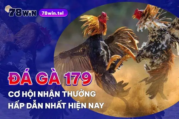 Đá gà 179 - Cơ hội nhận thưởng hấp dẫn nhất hiện nay