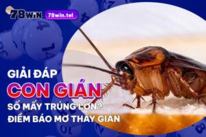 Giải đáp con gián số mấy trúng lớn? Điềm báo mơ thấy gián