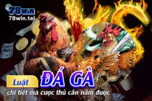 Luật đá gà chi tiết mà cược thủ cần nắm được