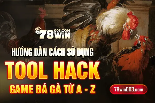 Hướng dẫn cách sử dụng tool hack game đá gà từ A - Z